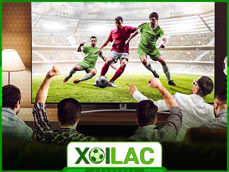 Xoilac TV trực tiếp bóng đá các giải đấu mới nhất Xoilac TV trực tiếp bóng đá các giải đấu mới nhất